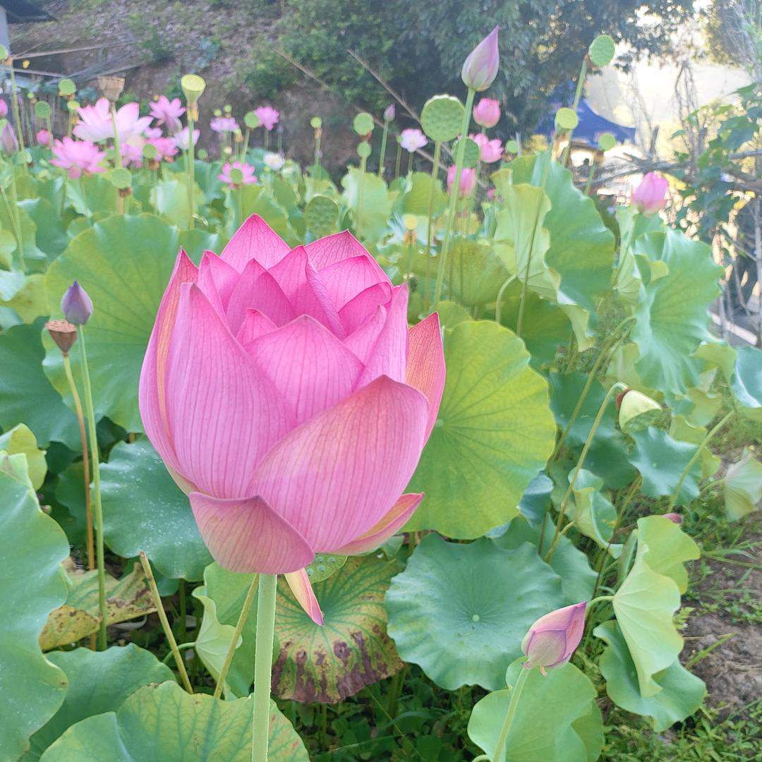 用户1566724891413潘潘