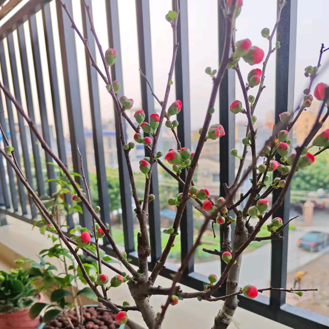 秀
