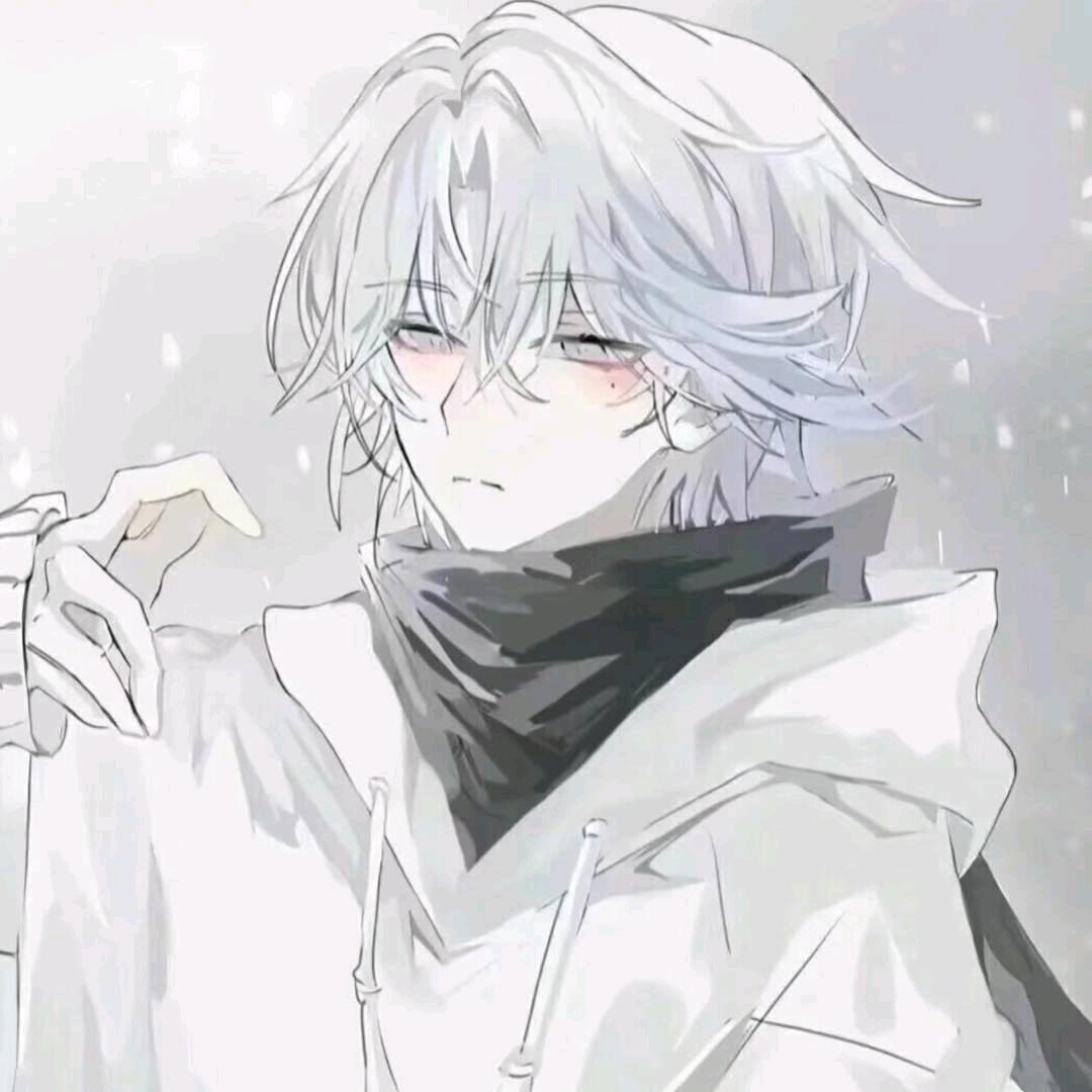 资深菜汪