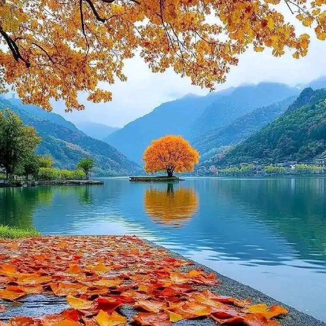 阅读时光铺