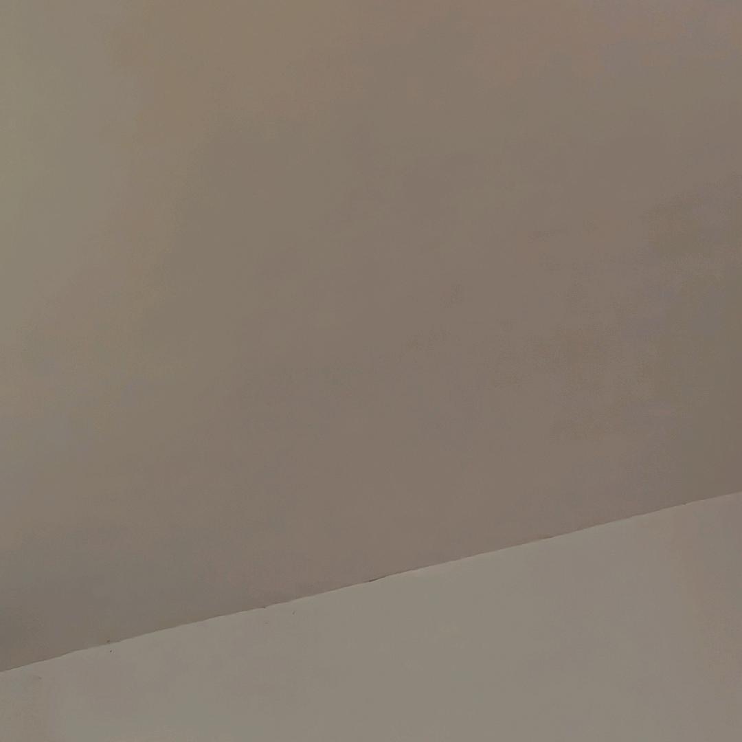 囡囡
