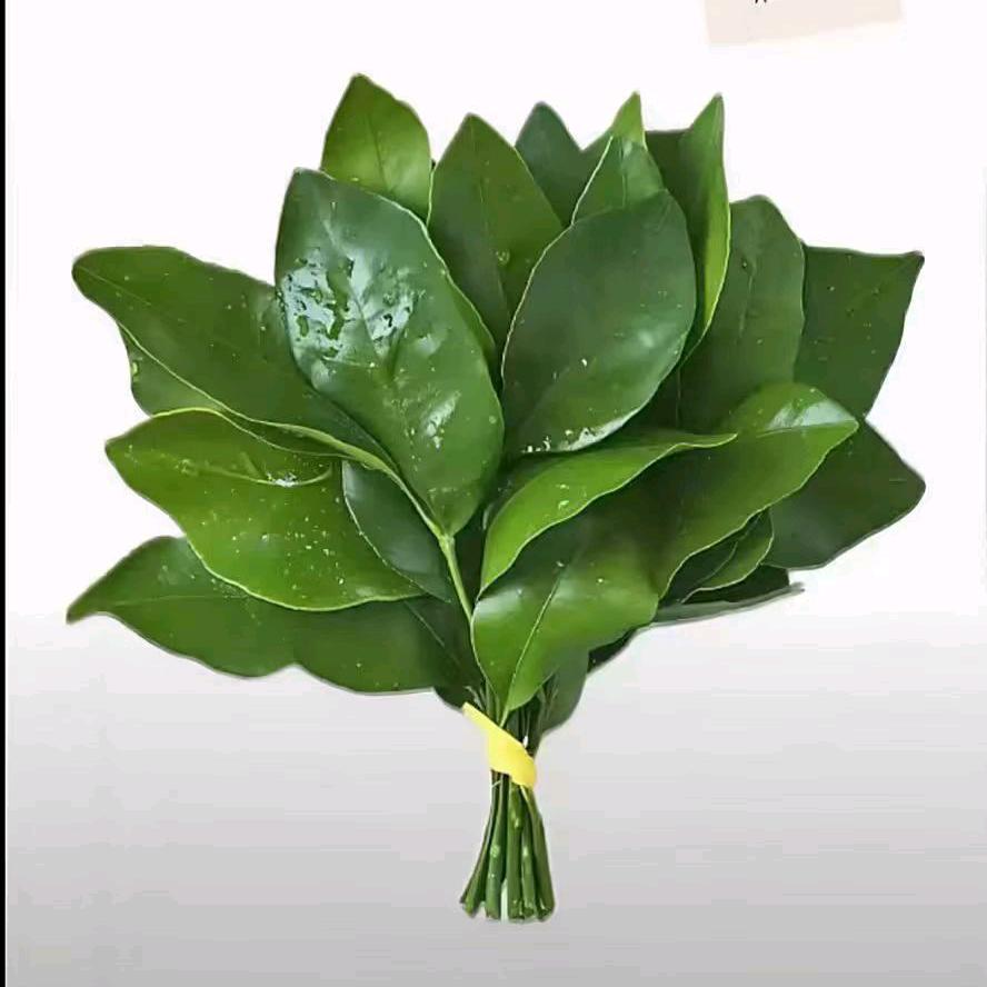 瑷尚彩妆培训学校~小雪