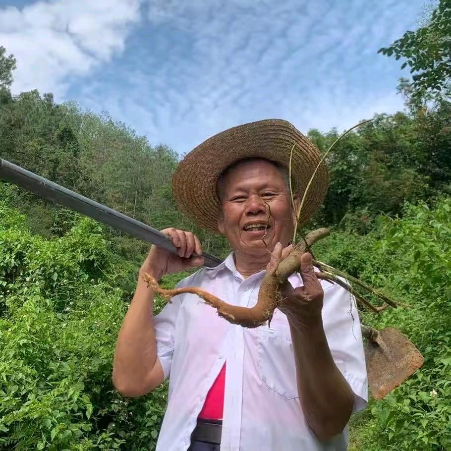 山草🌿姥 爷