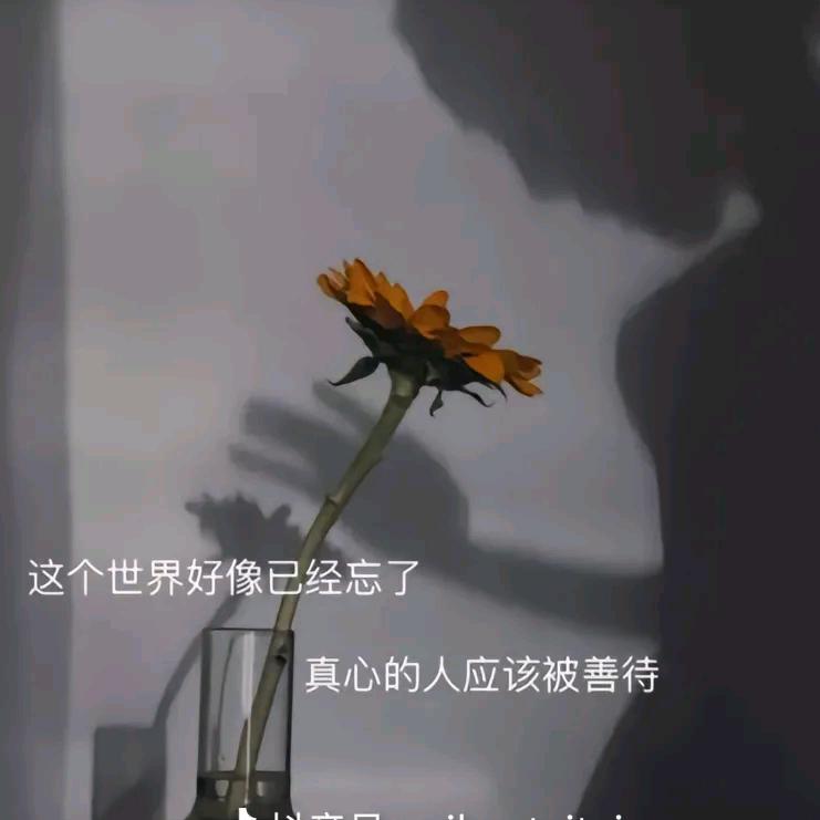 一切随缘💞