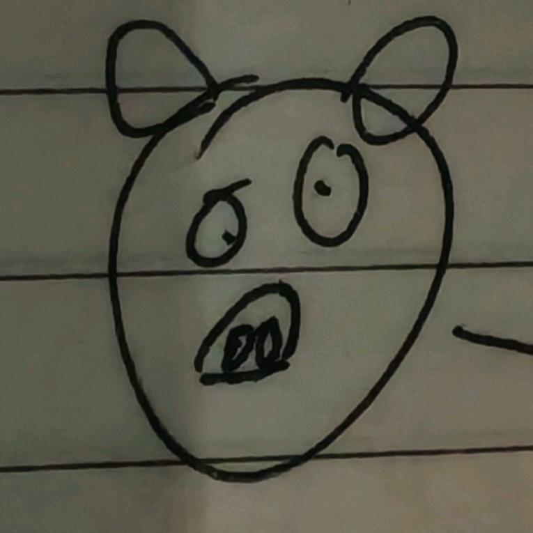 勇敢灿灿，不怕困难