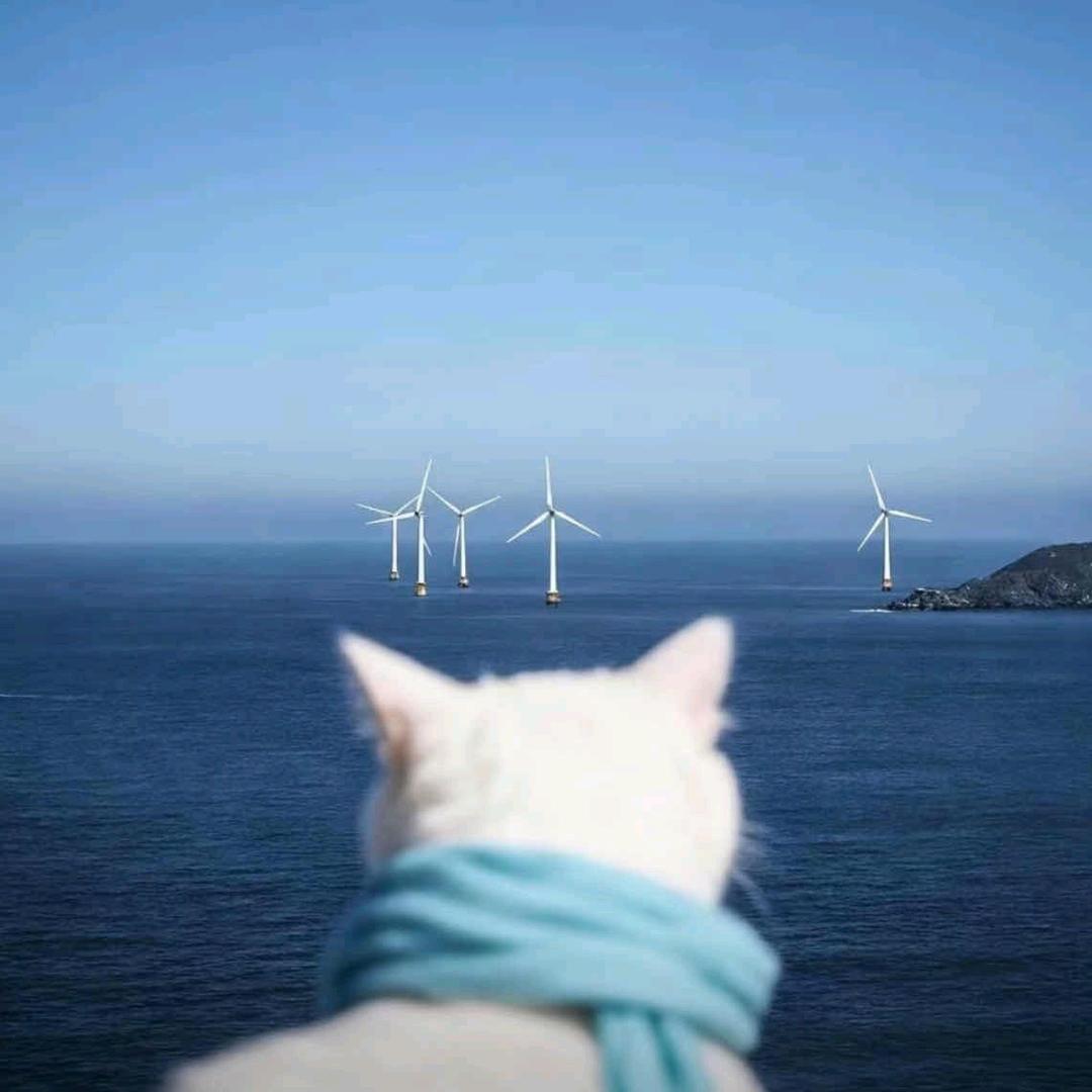𝙥𝙤𝙥𝙥𝙮🔅