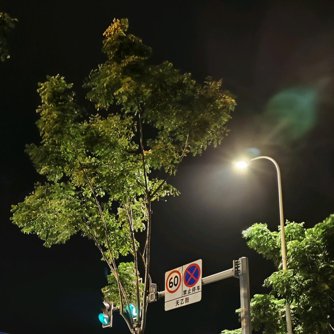 每一天都是明天