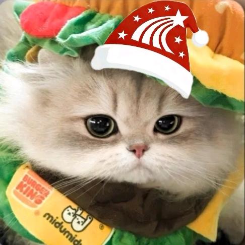 🐚（喜欢举手版）