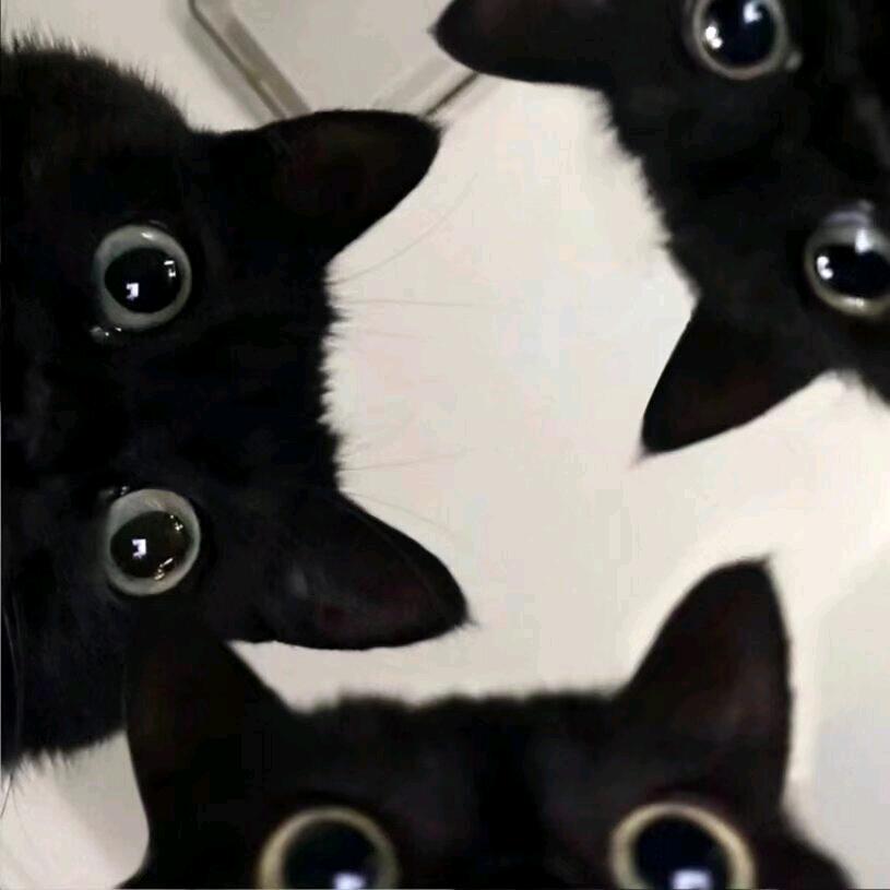 痷倲鳕