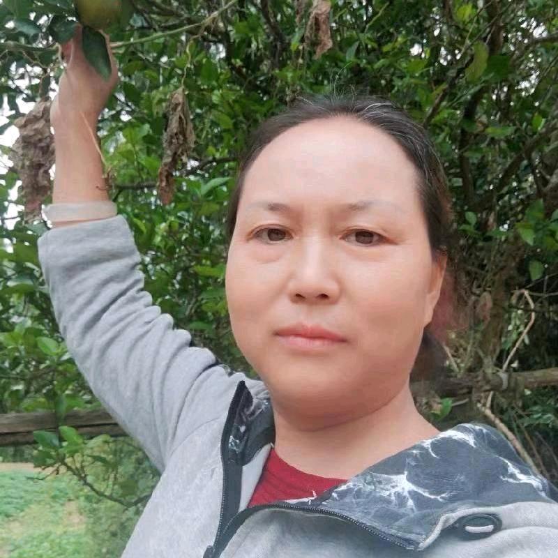 琳芳奶奶