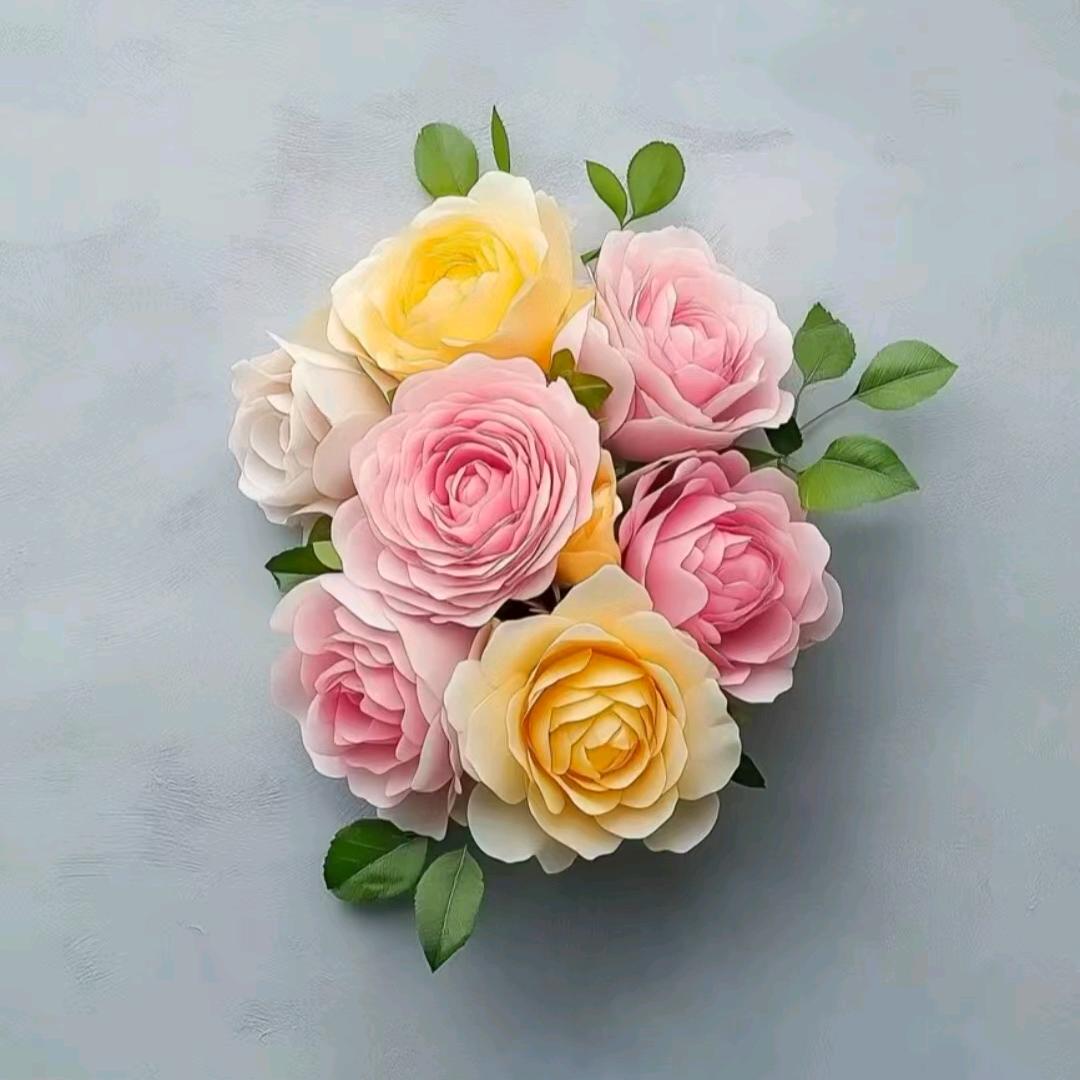 木糖˚ʚɞ˚不收徒（邹平）