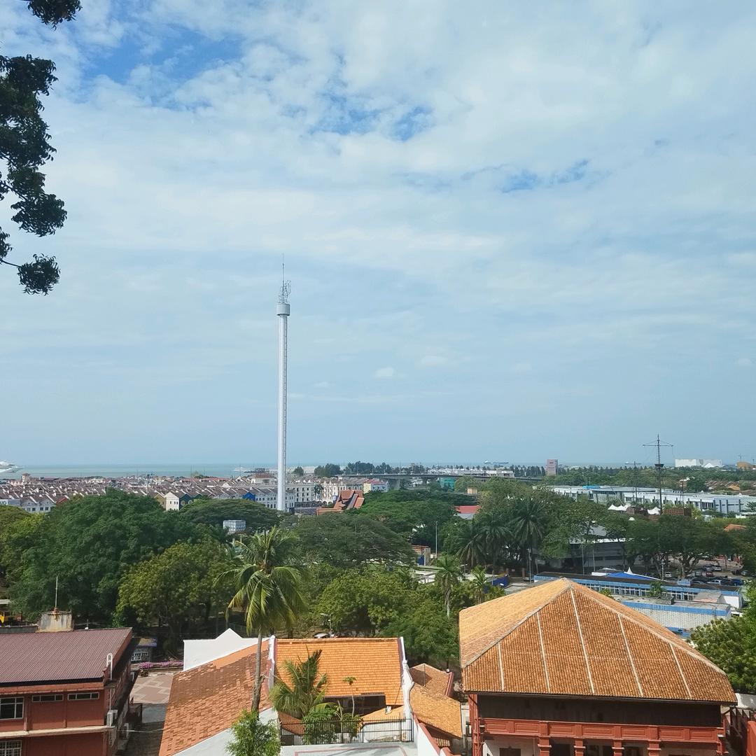 ⊹꙳ ˶˙ᵕ˙˶ ⊹꙳