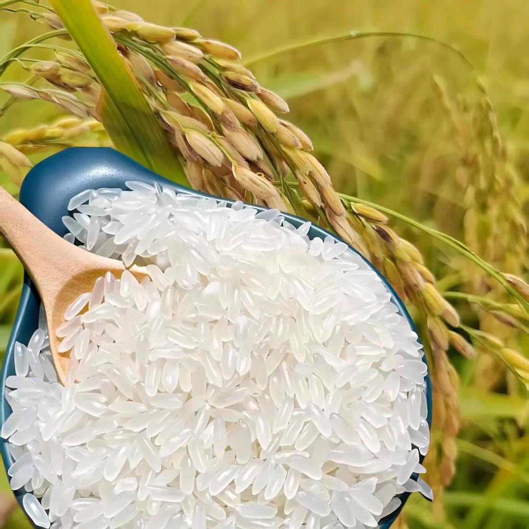 金色田野五常大米