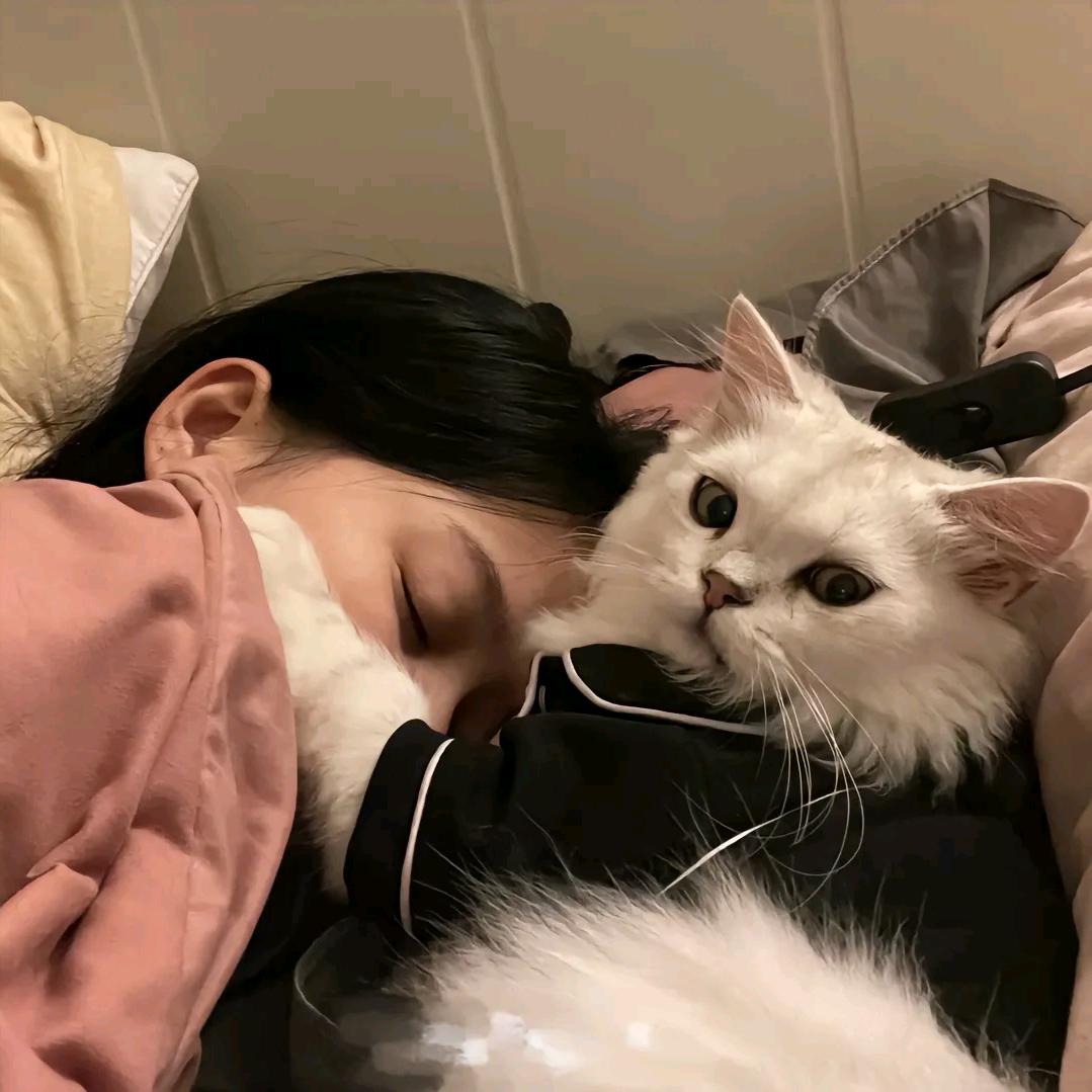 不止于想
