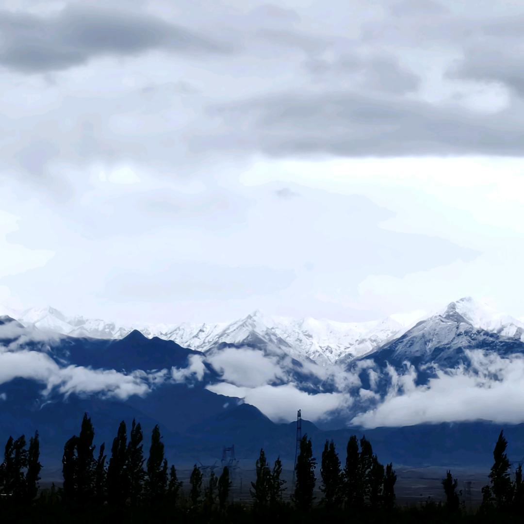 我  马  上  要  发  财🔔
