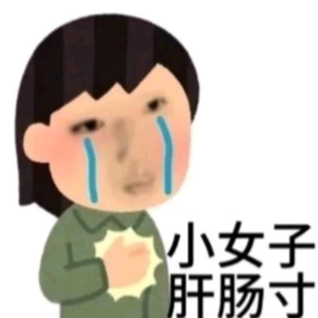 乌贼