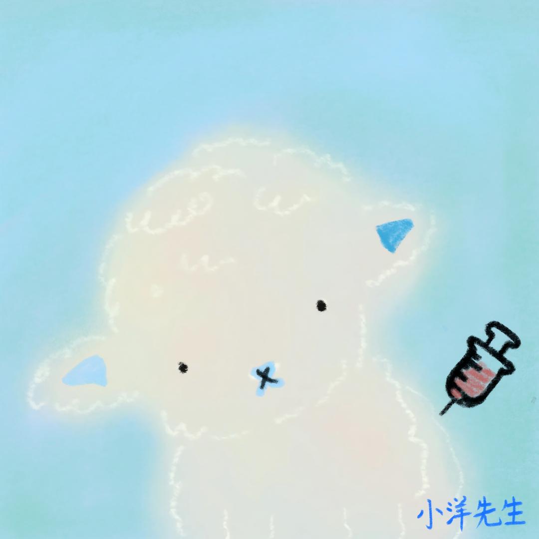 ♍洋洋不洋