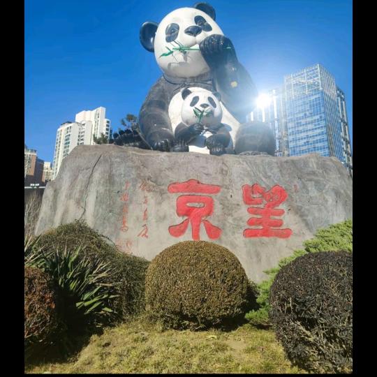 望京南归院