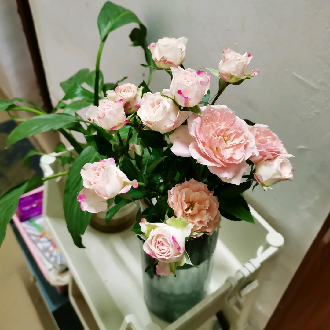 巧心缘