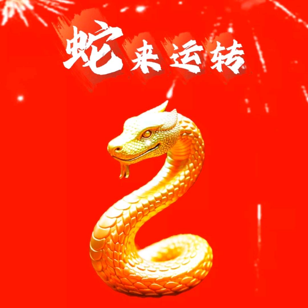 🌈蛇来运转