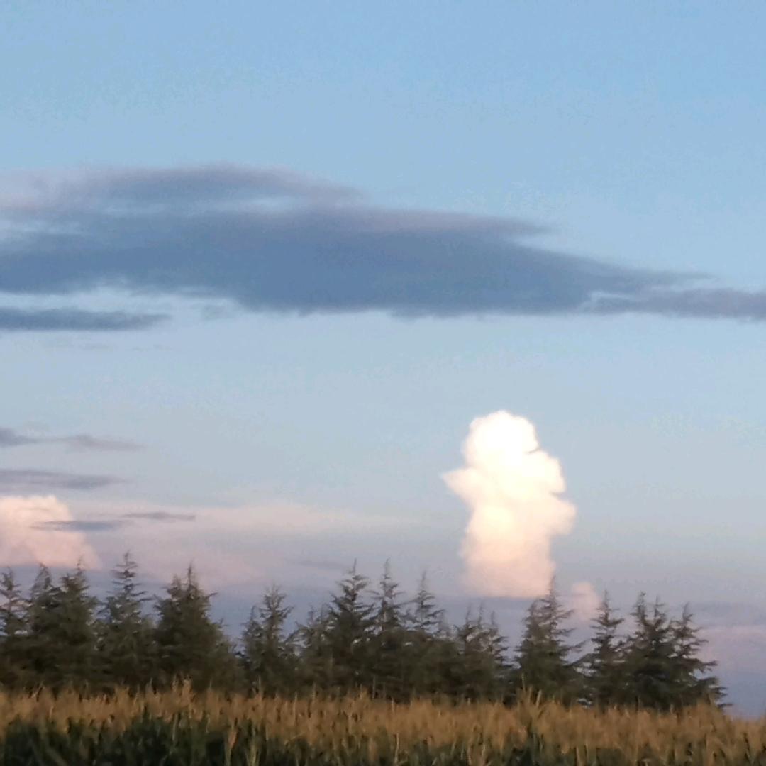 阿散、久世浮倾！！！我爱你！！