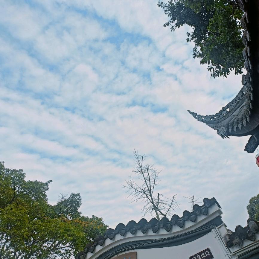 精准验光找浙温