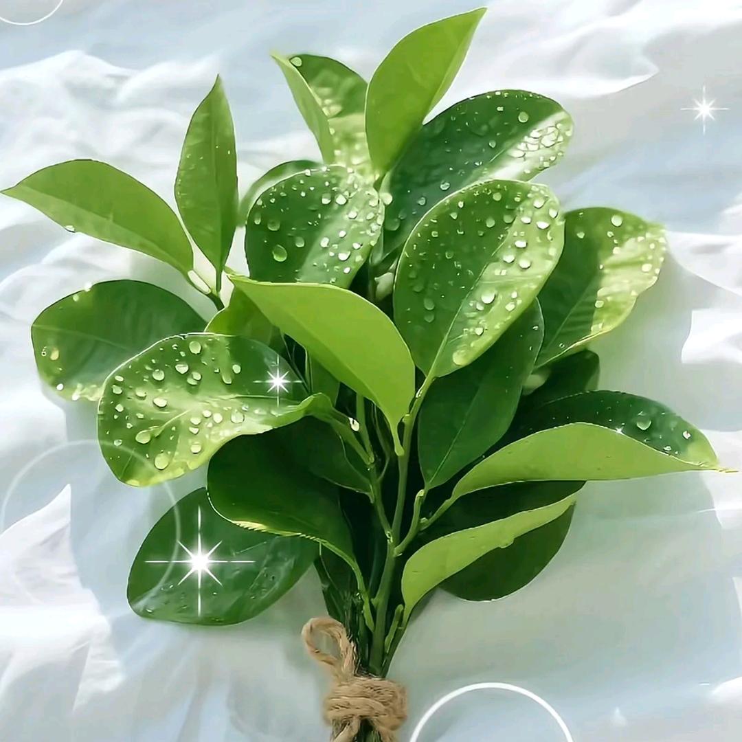 大金儿吖@团购（助农）