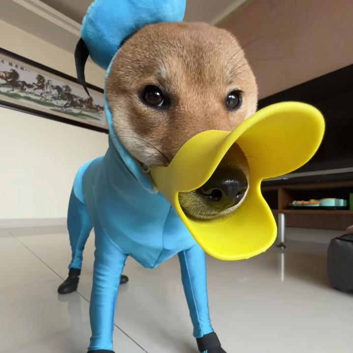 啊啊啊啊R