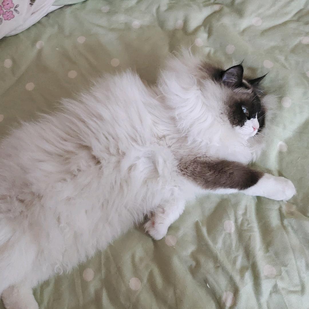 草帽子
