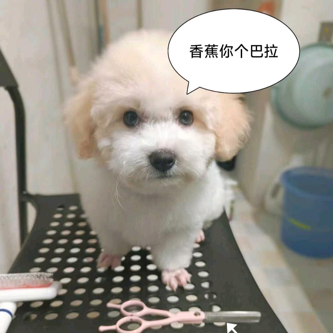 啊清是你吗？
