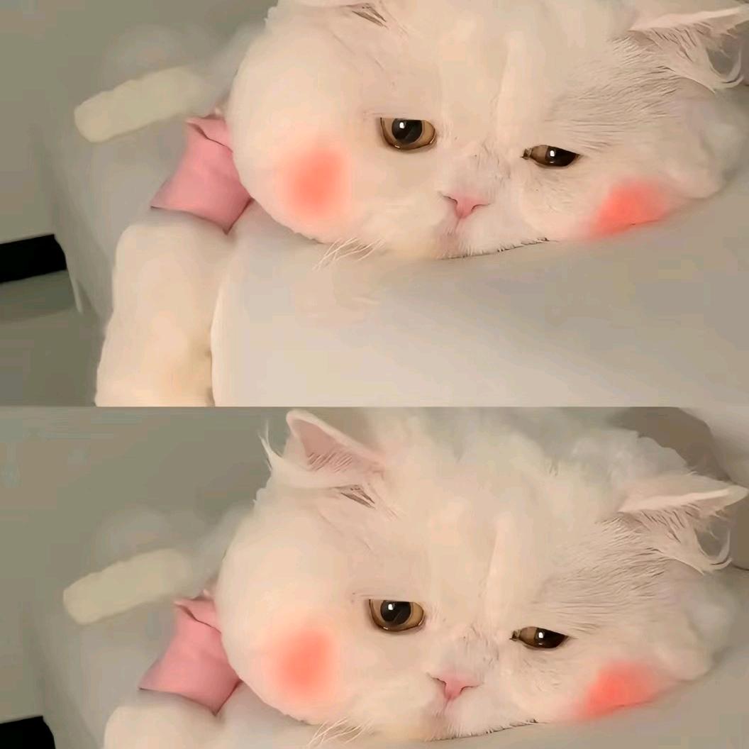 暴打猪八戒