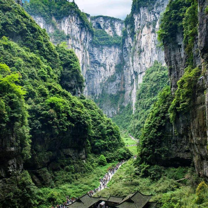 彬彬🍄