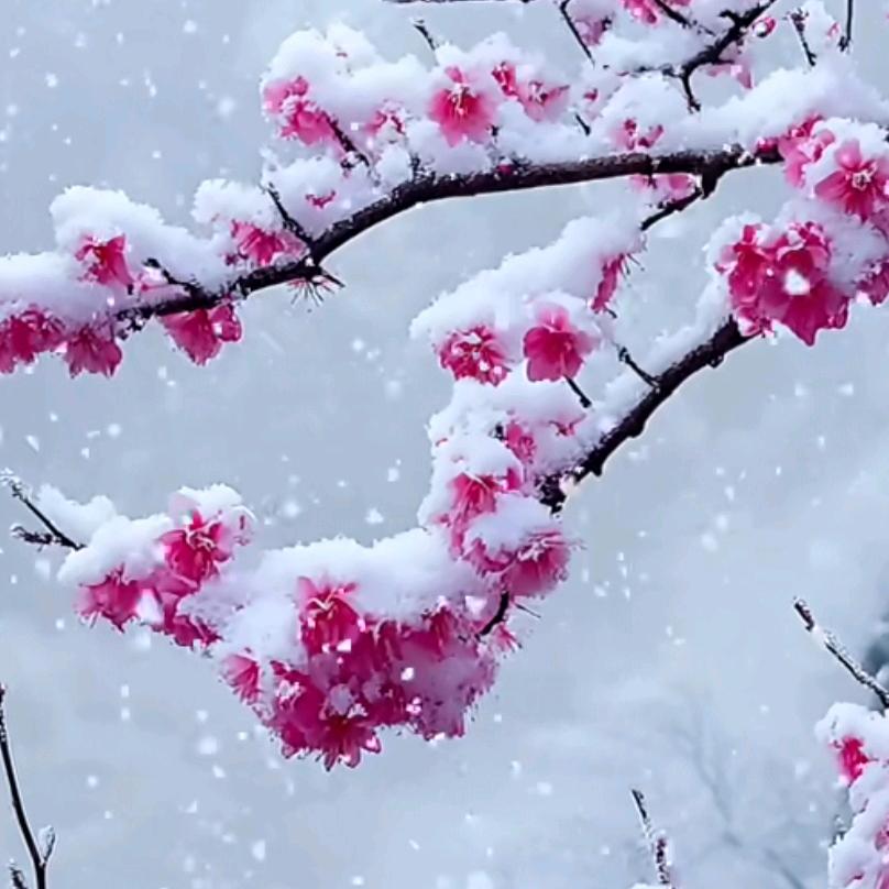 @雪姐