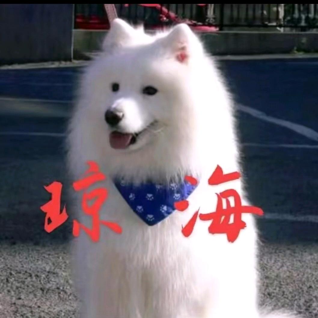 @琼海🇨🇳