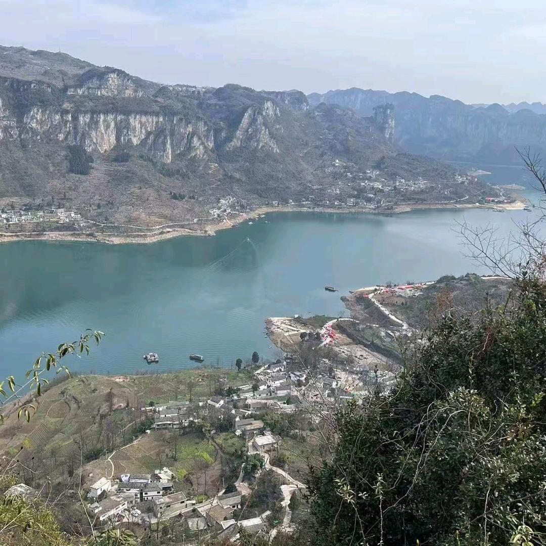 杨先生