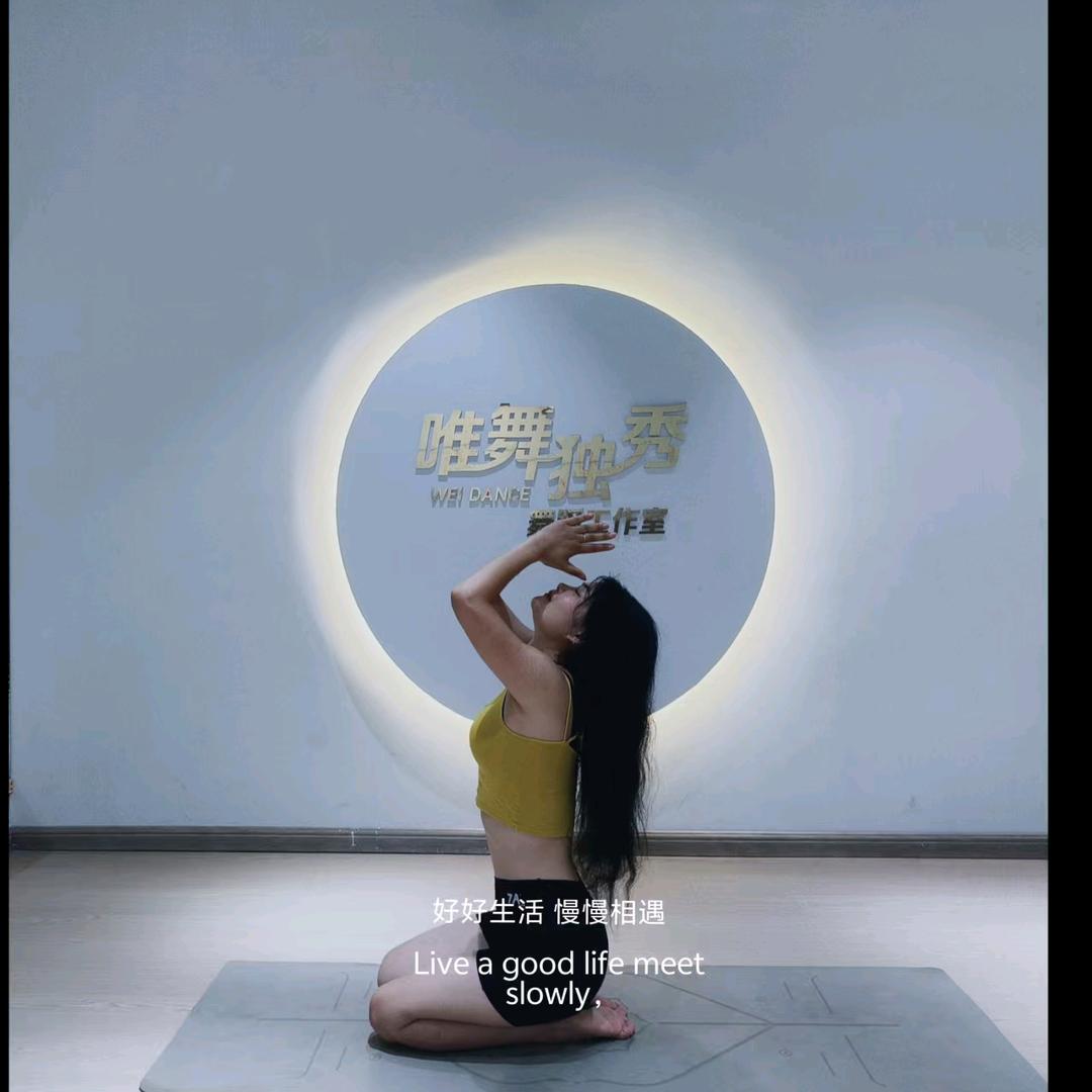 獨一無二的燕子