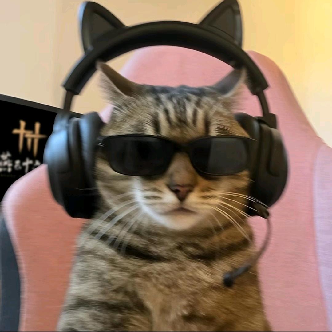 ᥫᦱᐝ 🇲
