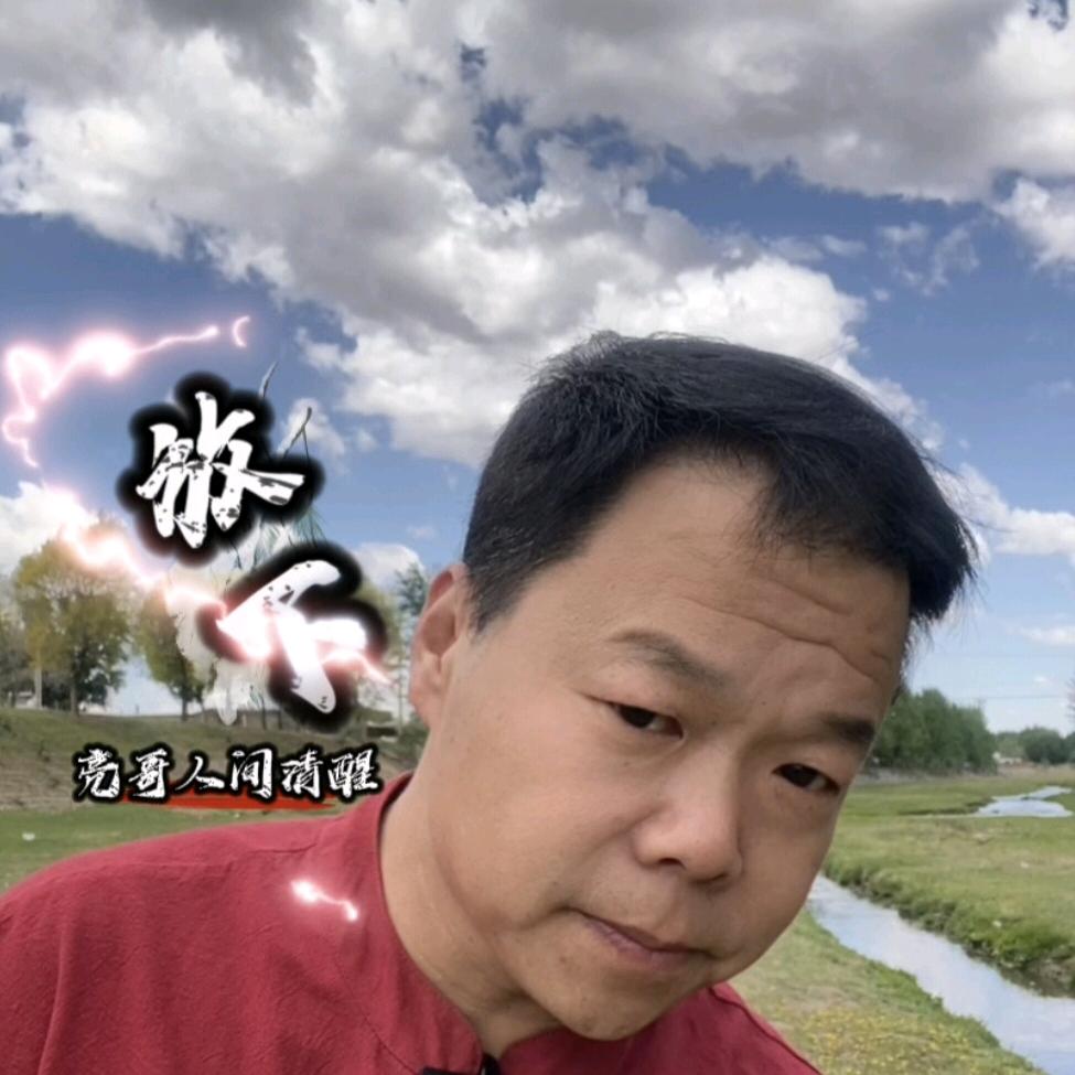 亮哥 人间清醒