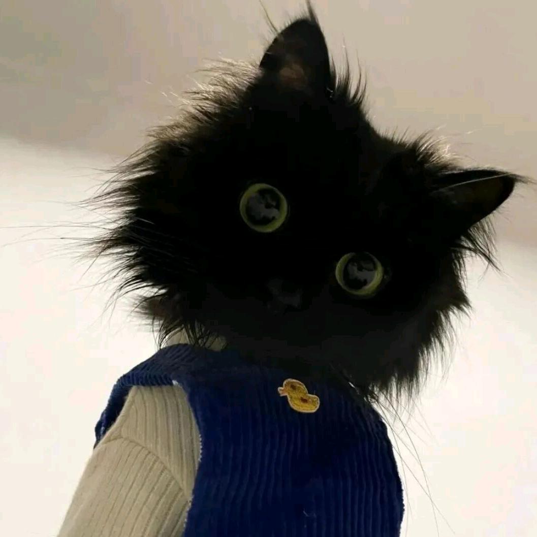 财神爷的宝贝💰