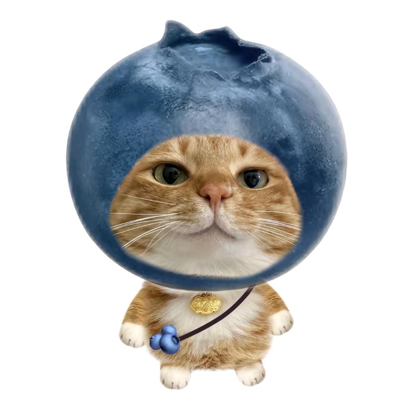 蓝莓小小汁
