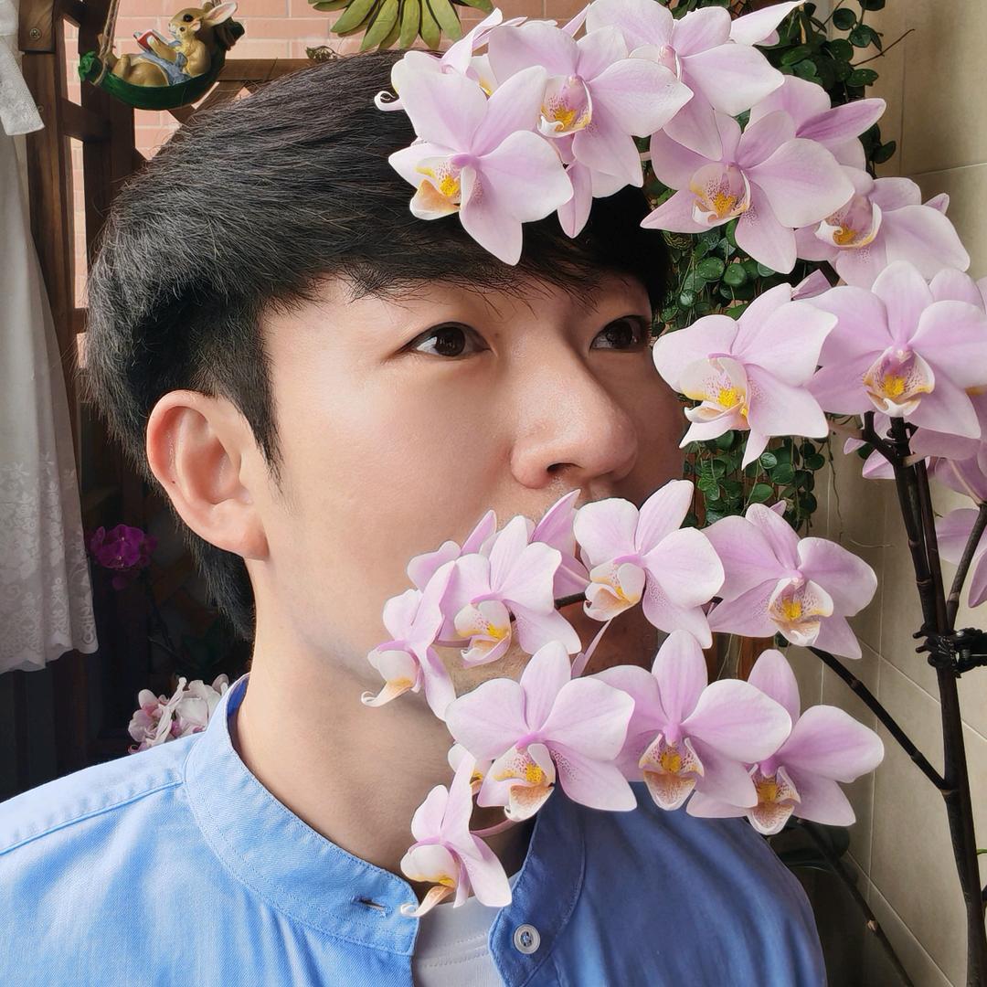 花草情抒