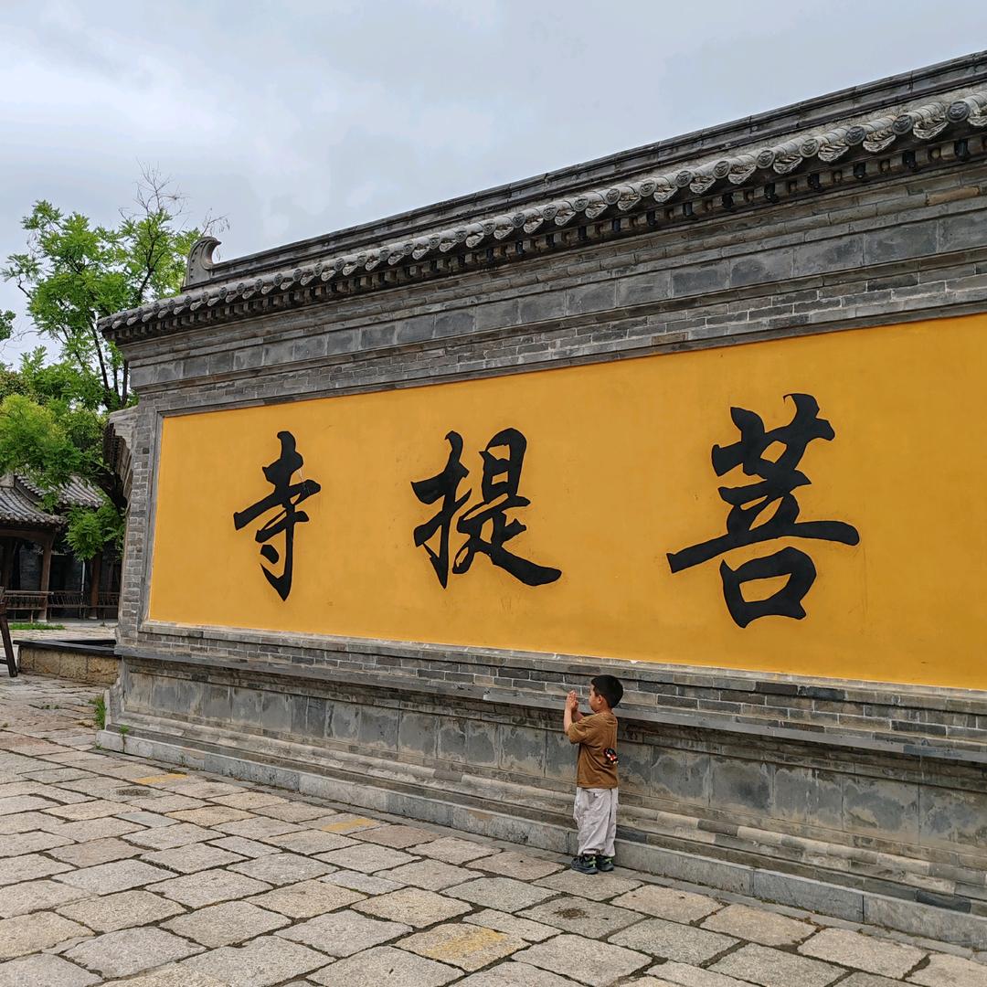 豆妈