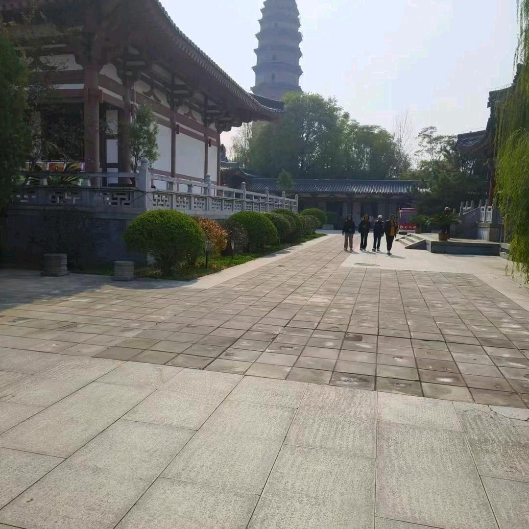 🌞💖笑看繁华💖🎄