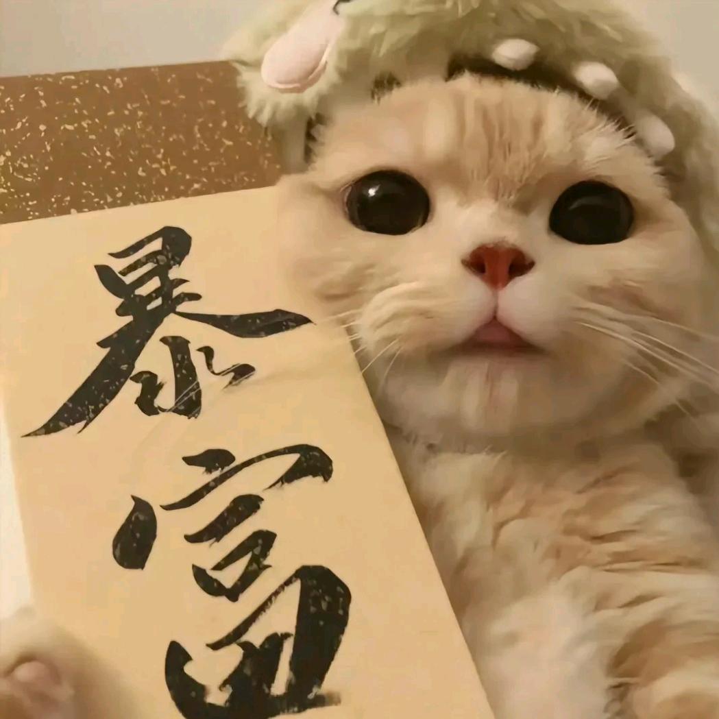 桃子小助理
