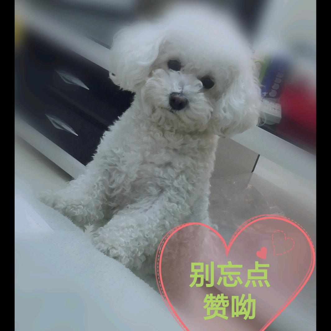 幸运猫