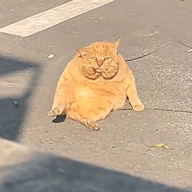 与一