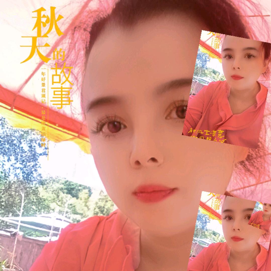 我何去何从