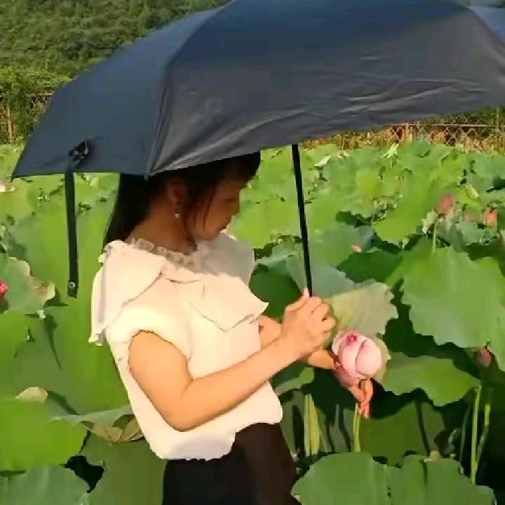 赴眠.