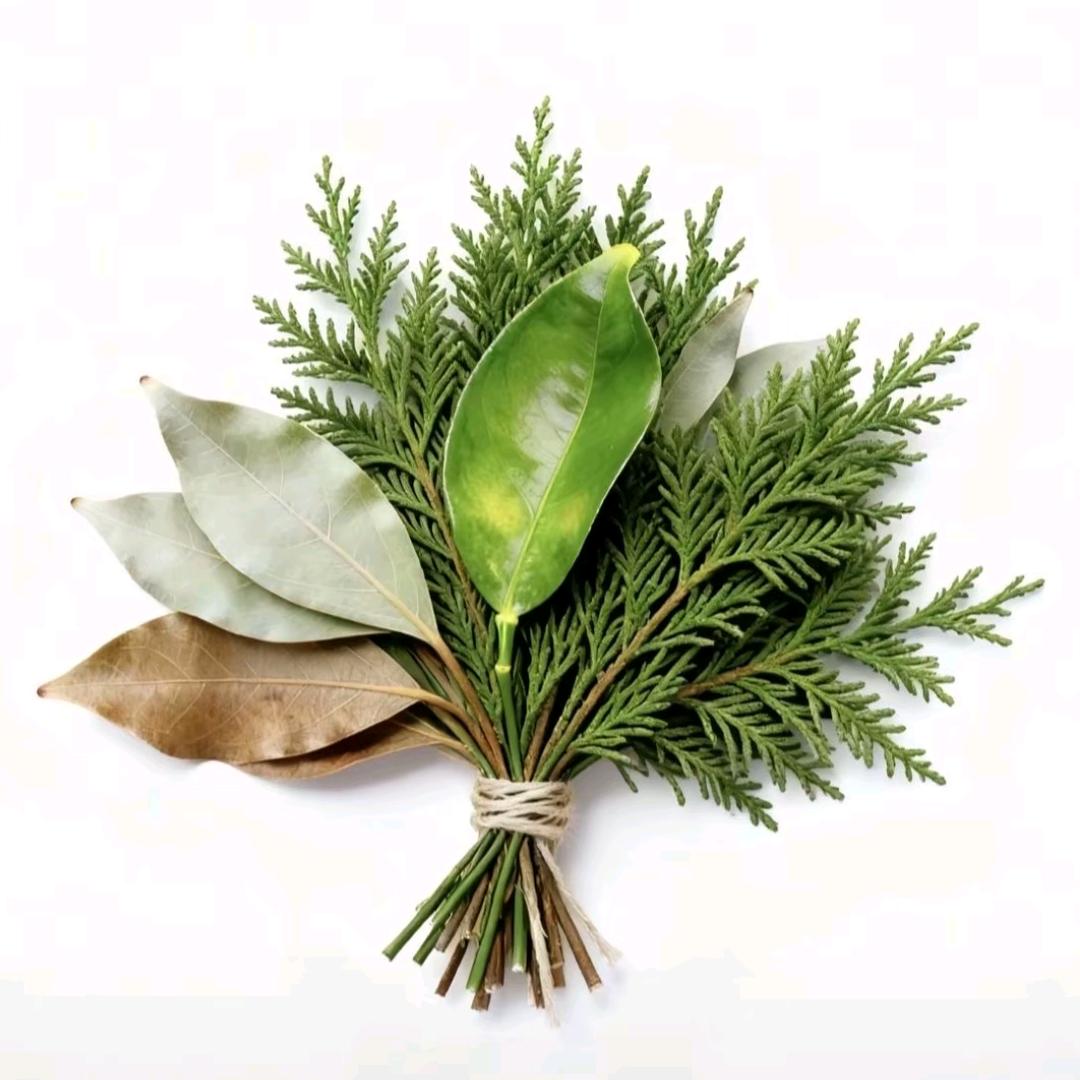 遇见檀檀呐（见过檀健次版）