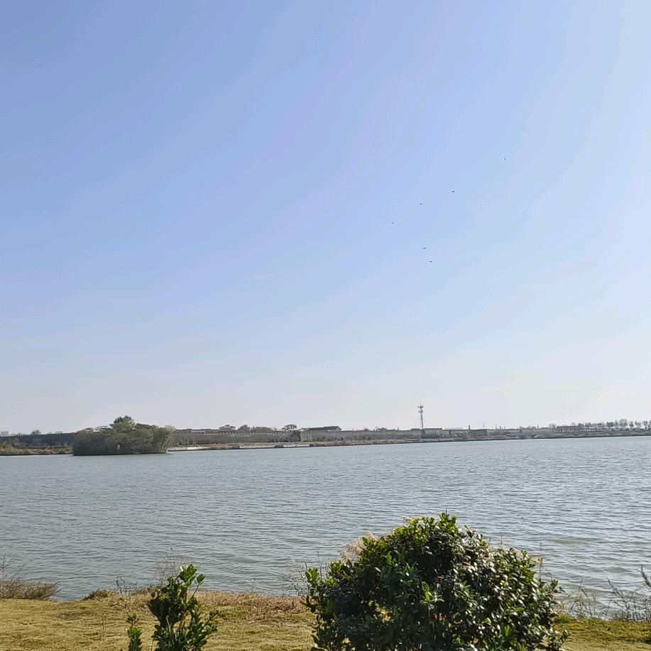 许多年以后……